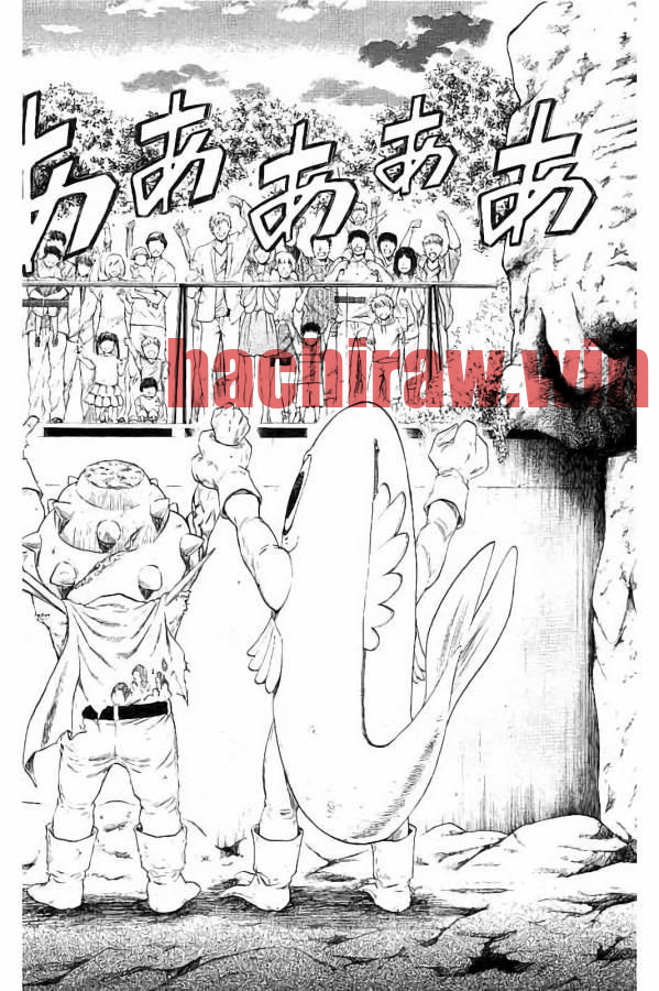 img 35