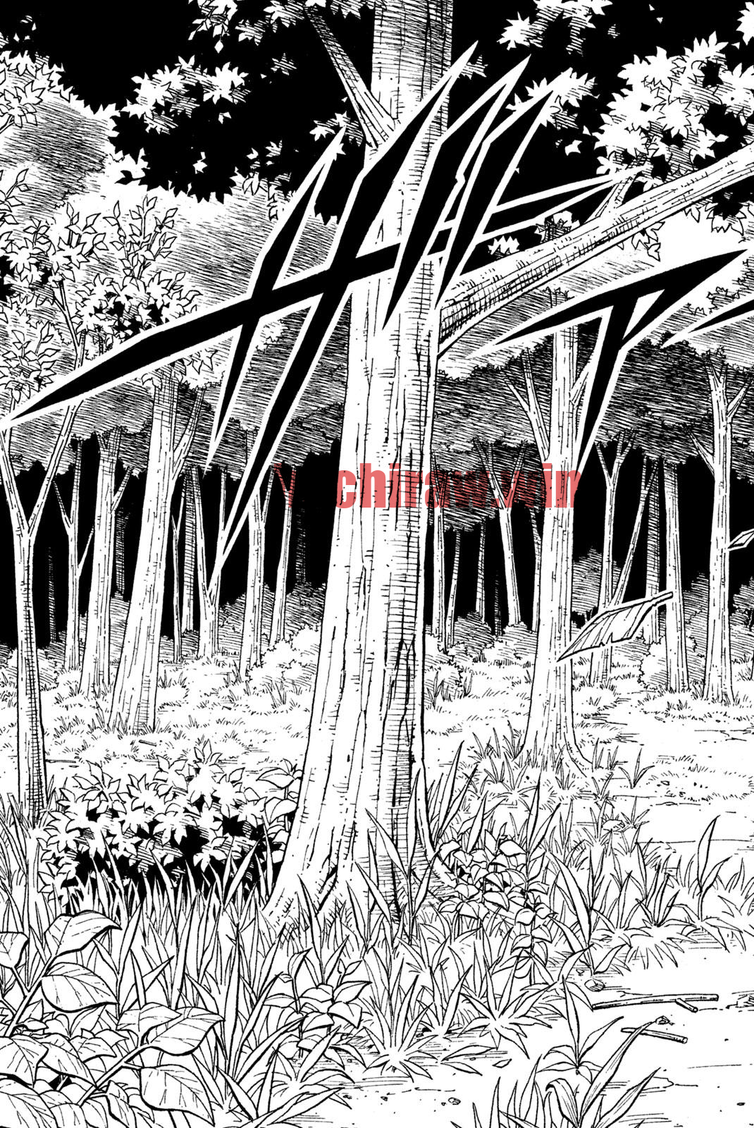 img 10