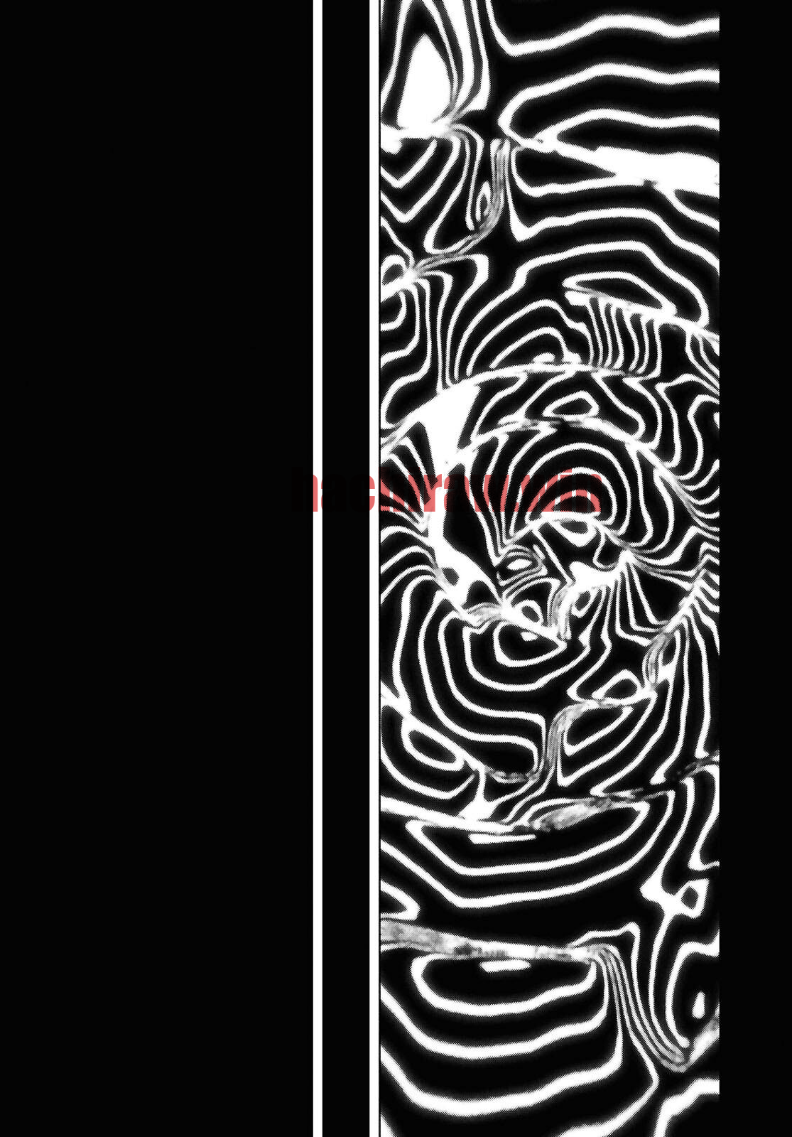img 3
