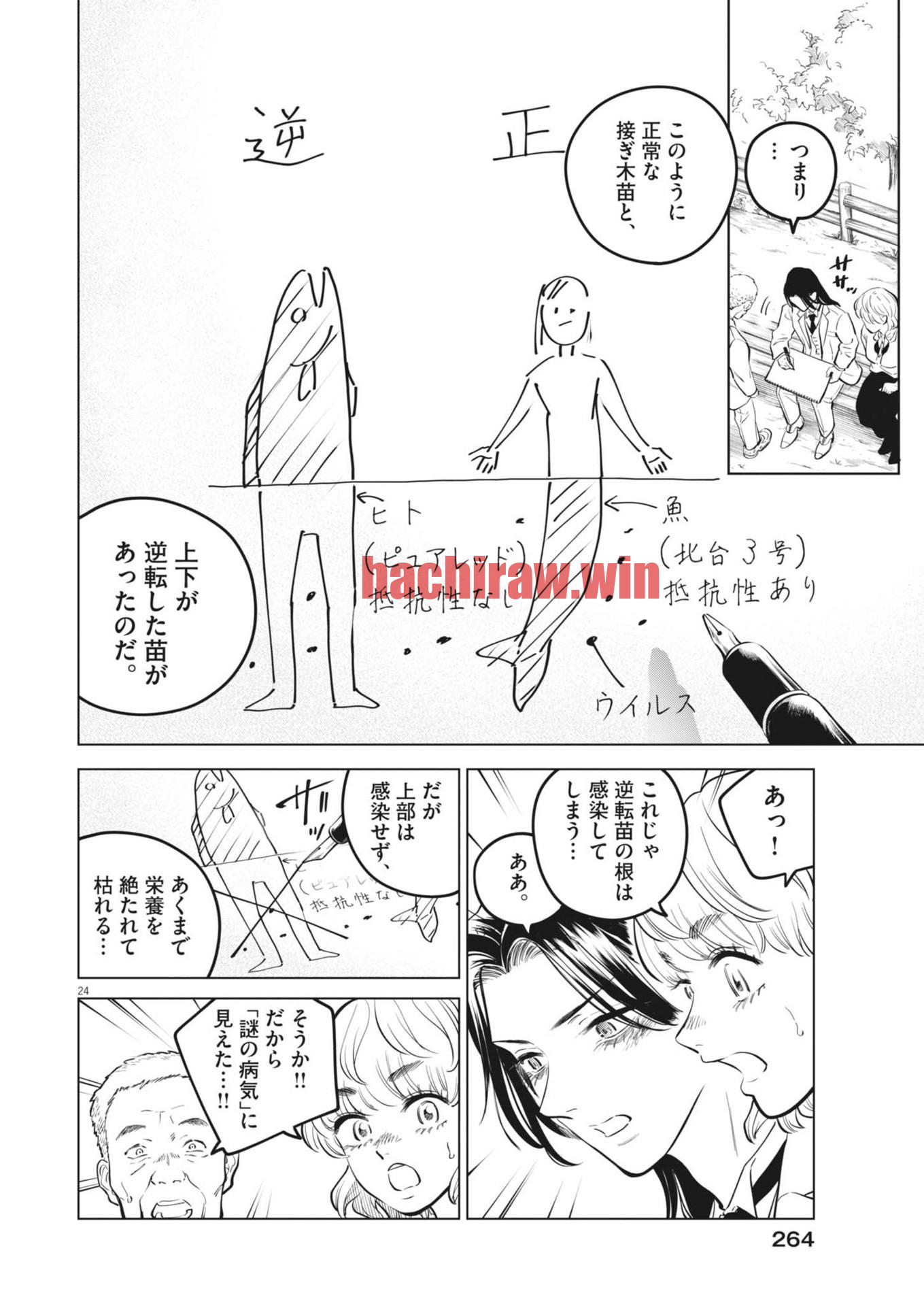 img 23