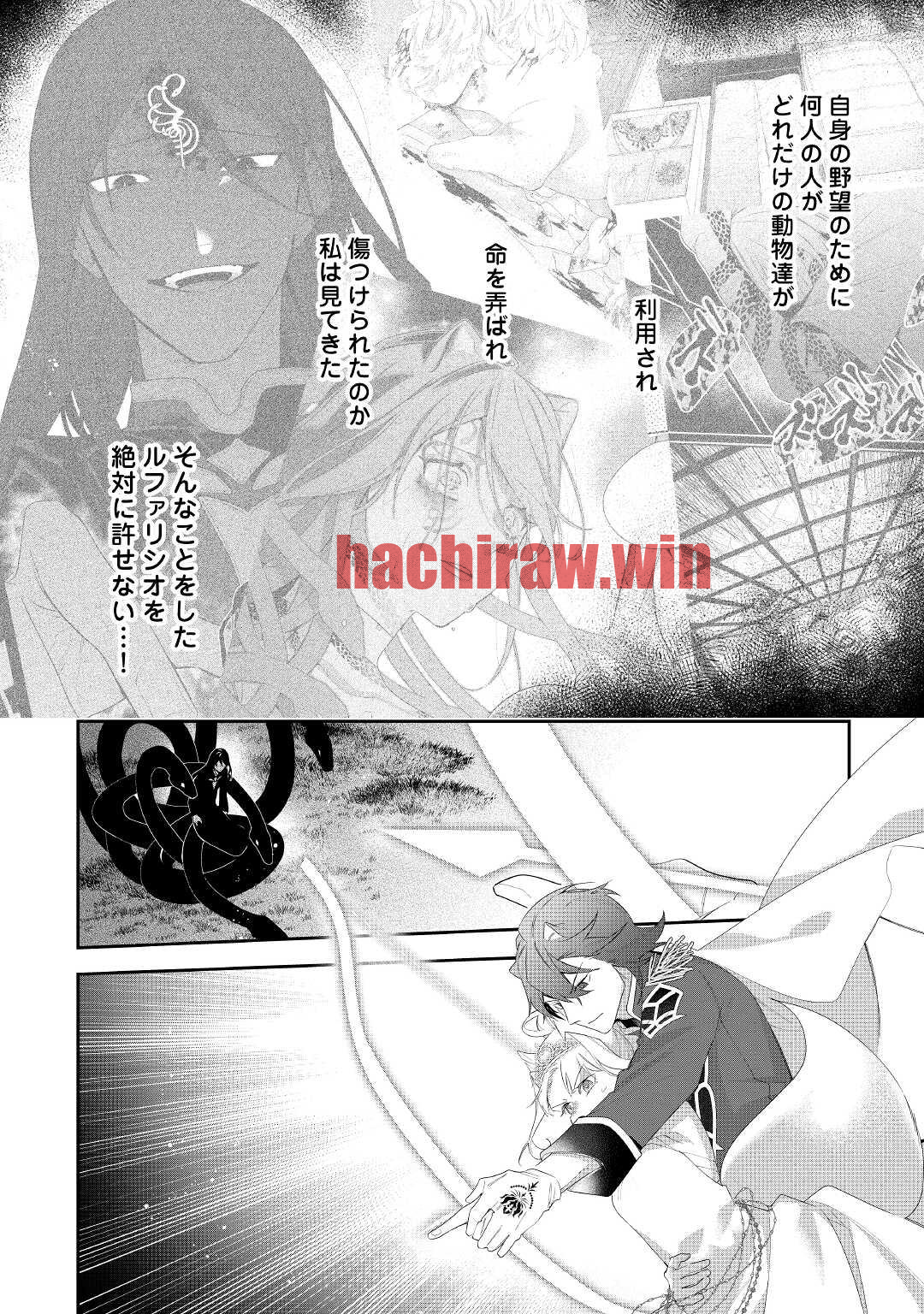 img 17