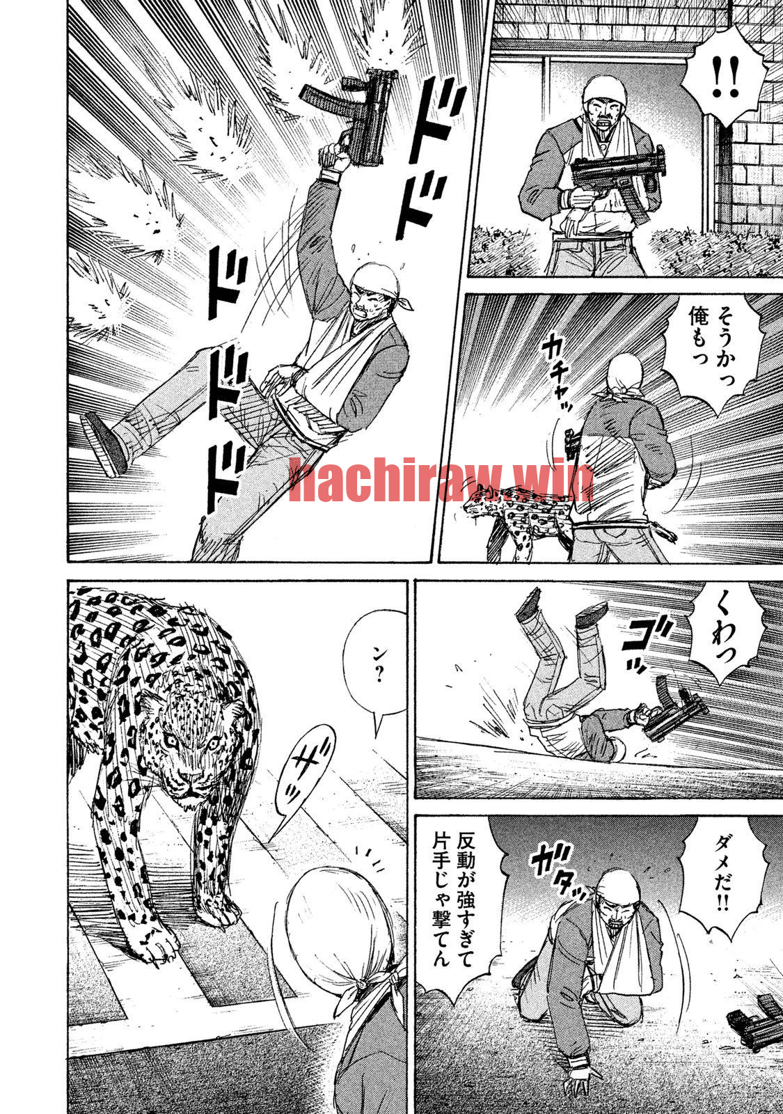 img 13