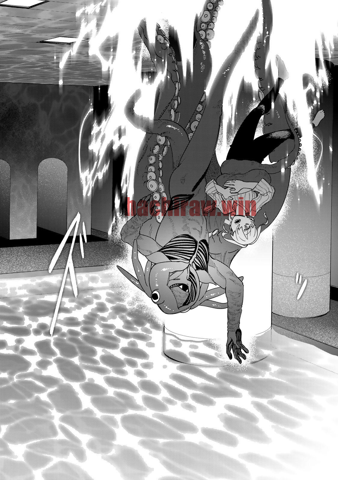 img 13