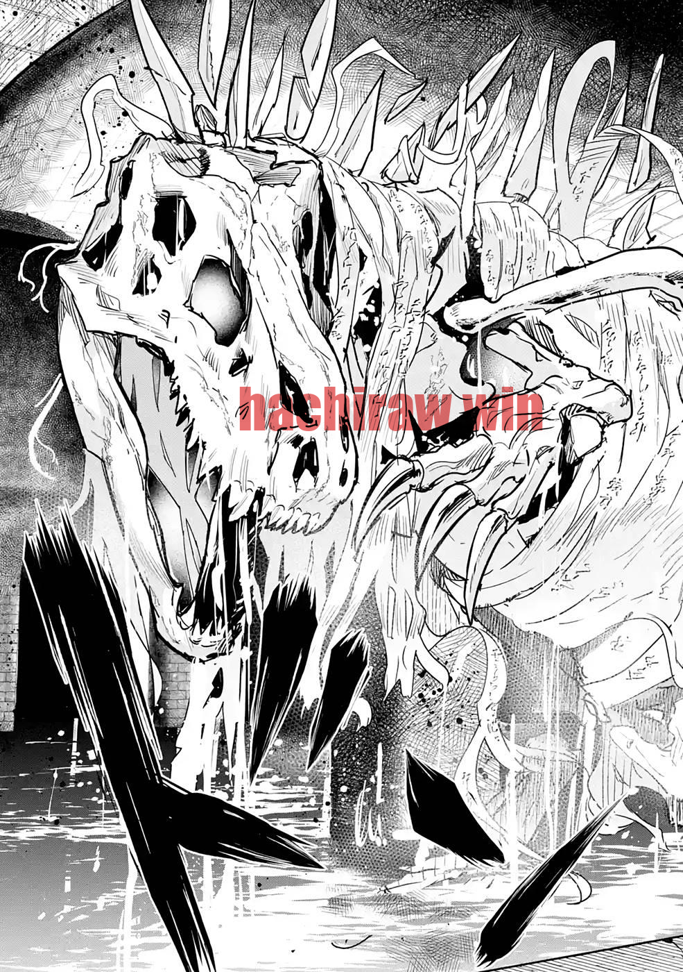 img 20