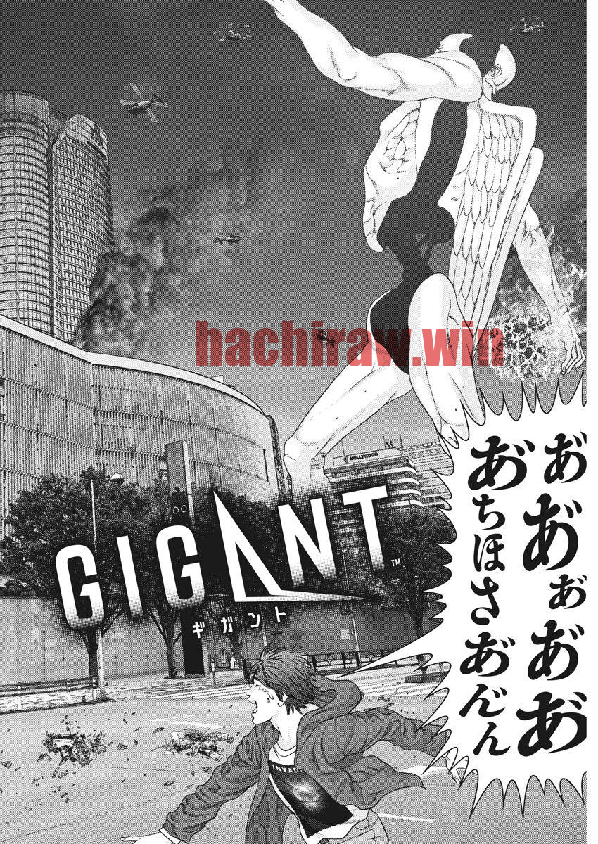 img 0