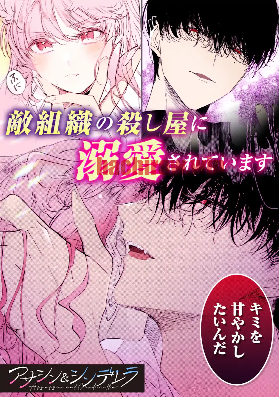 img 5