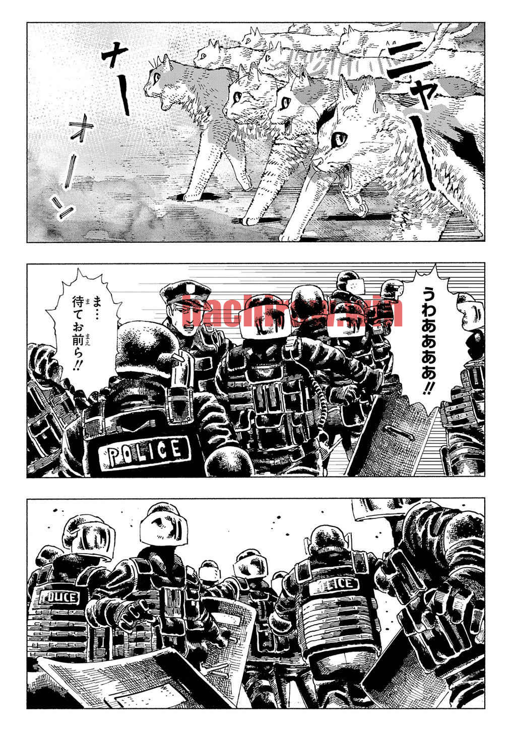 img 9