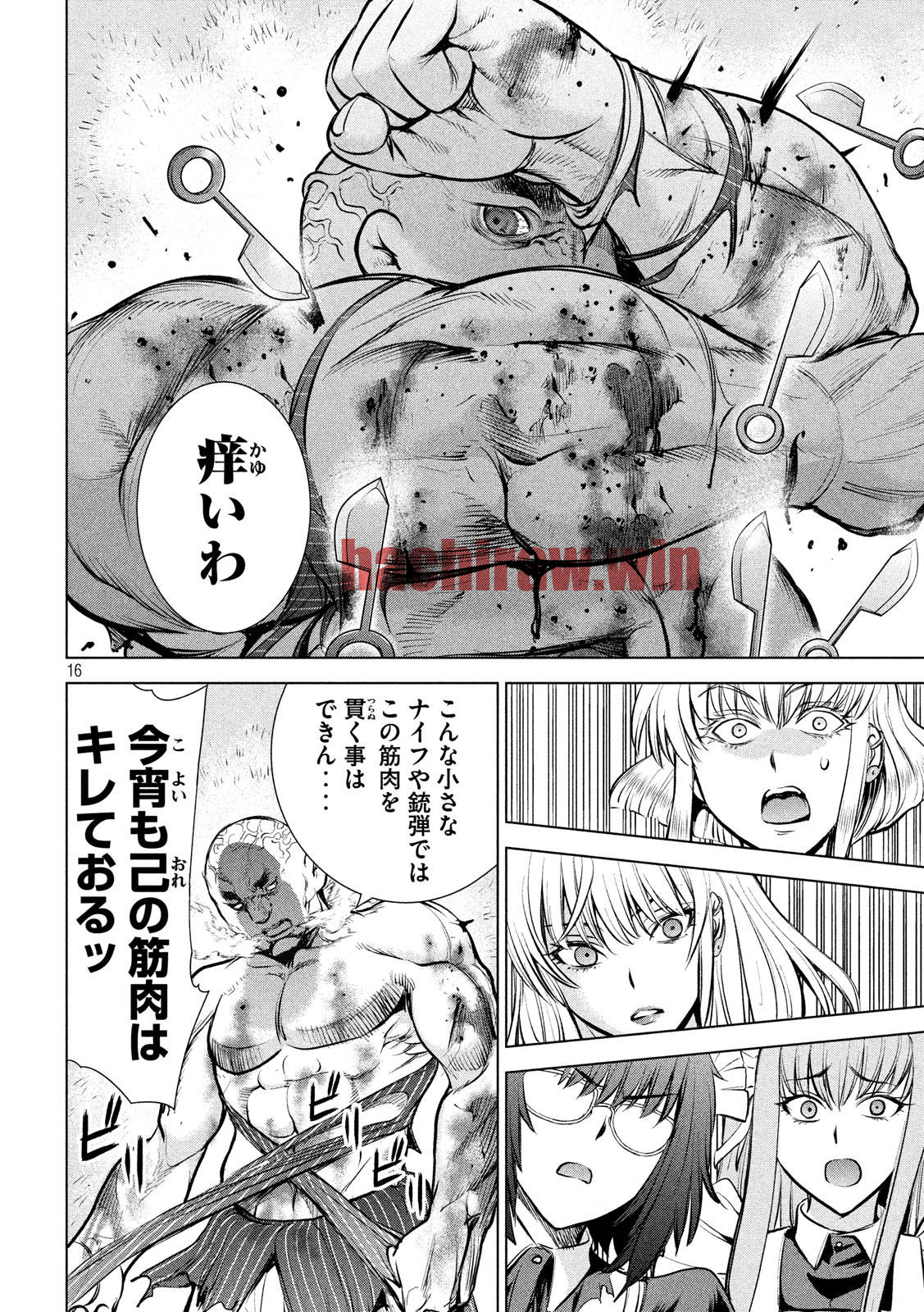 img 15
