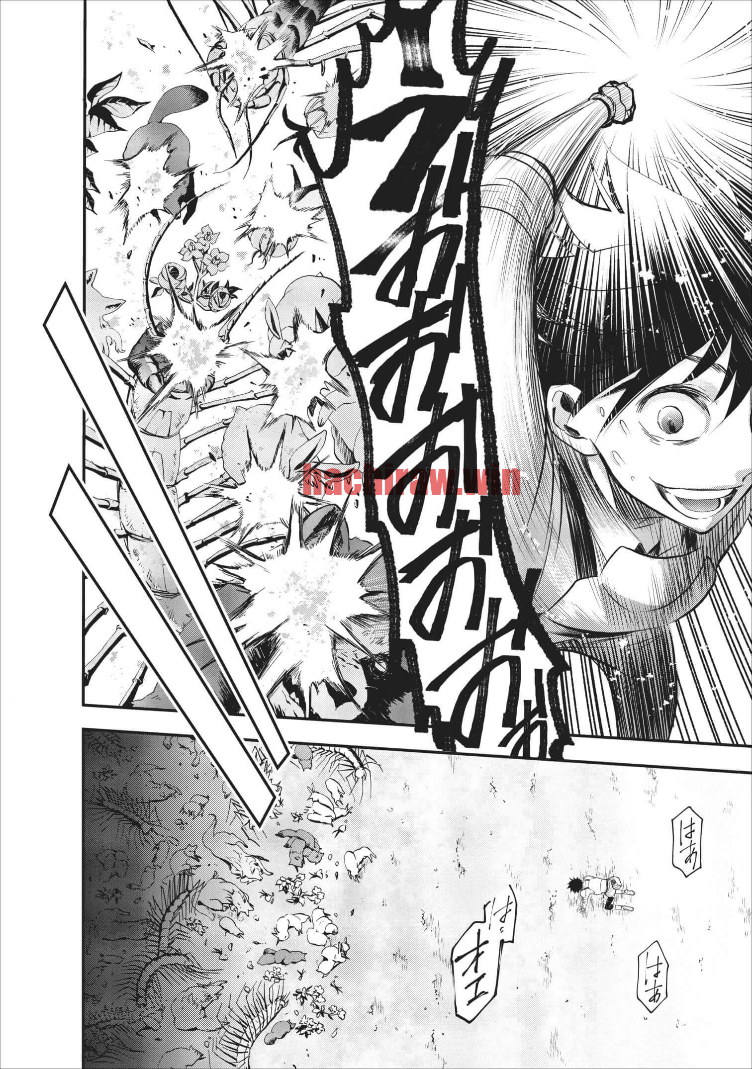 img 24