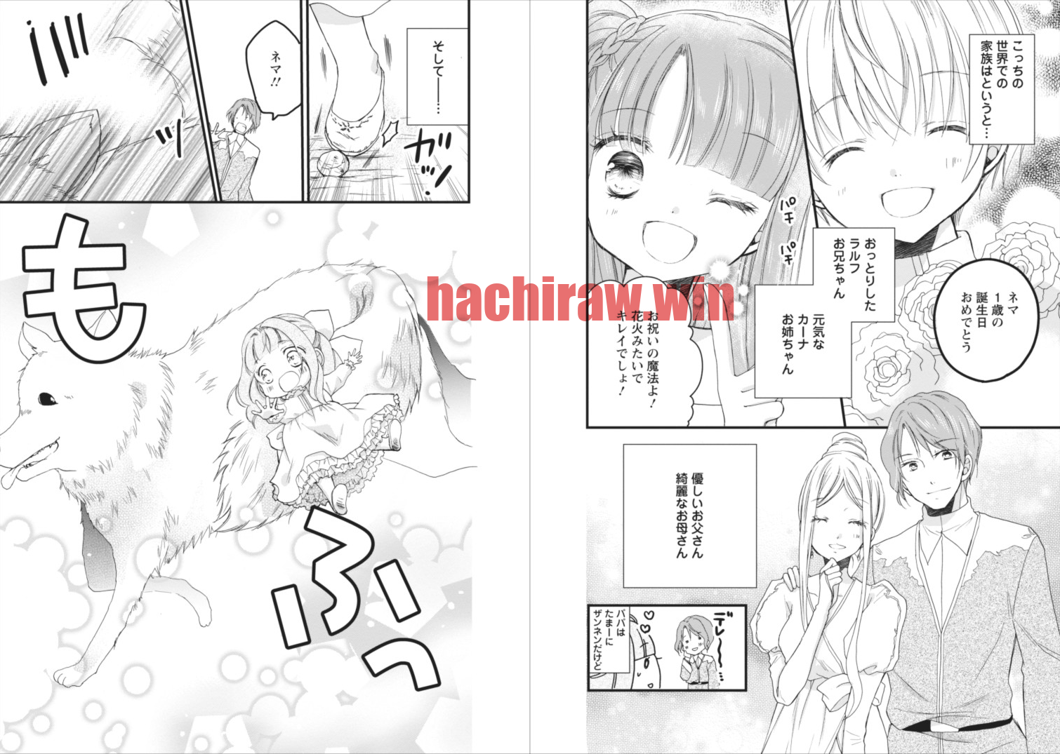 img 11