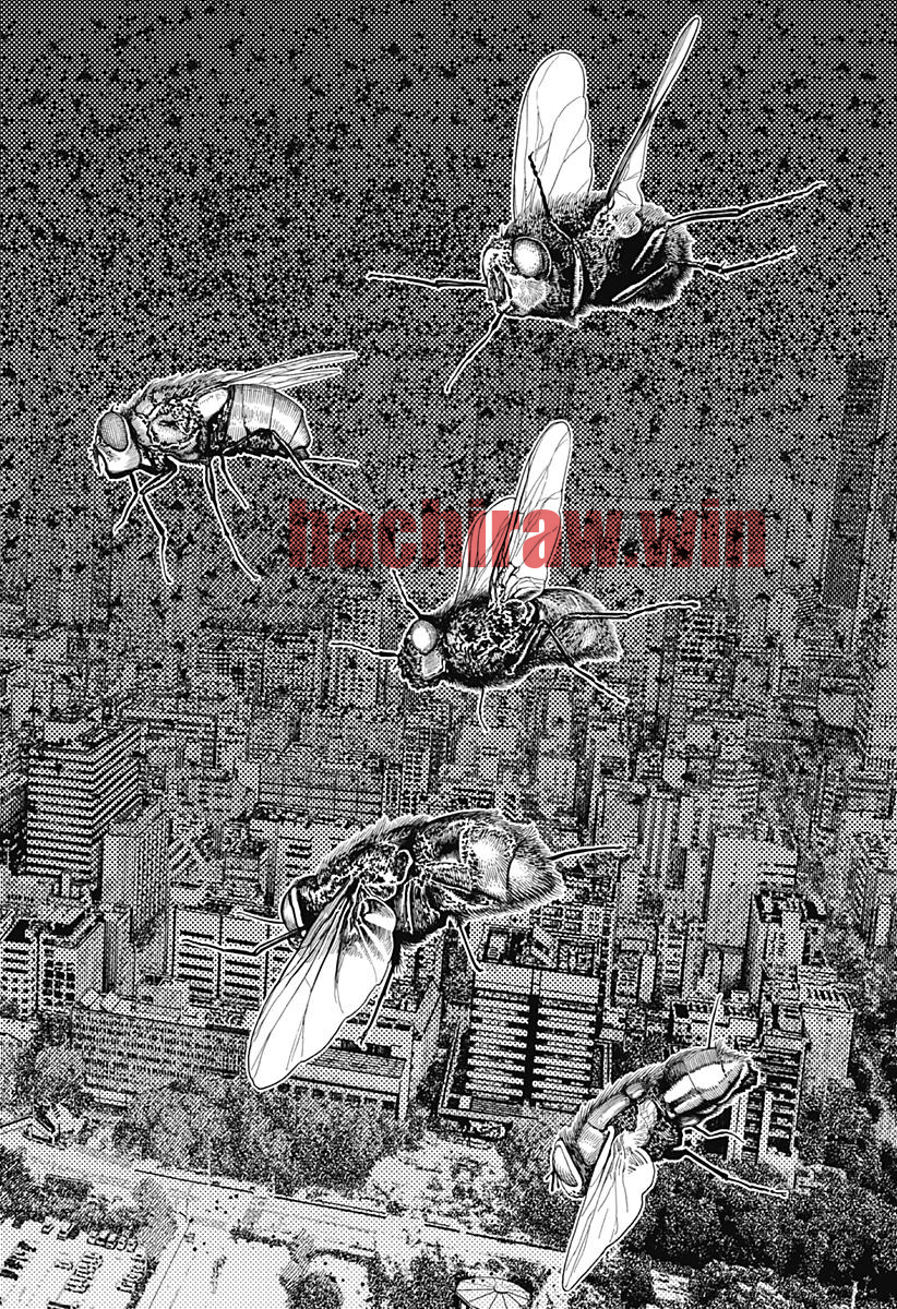img 23