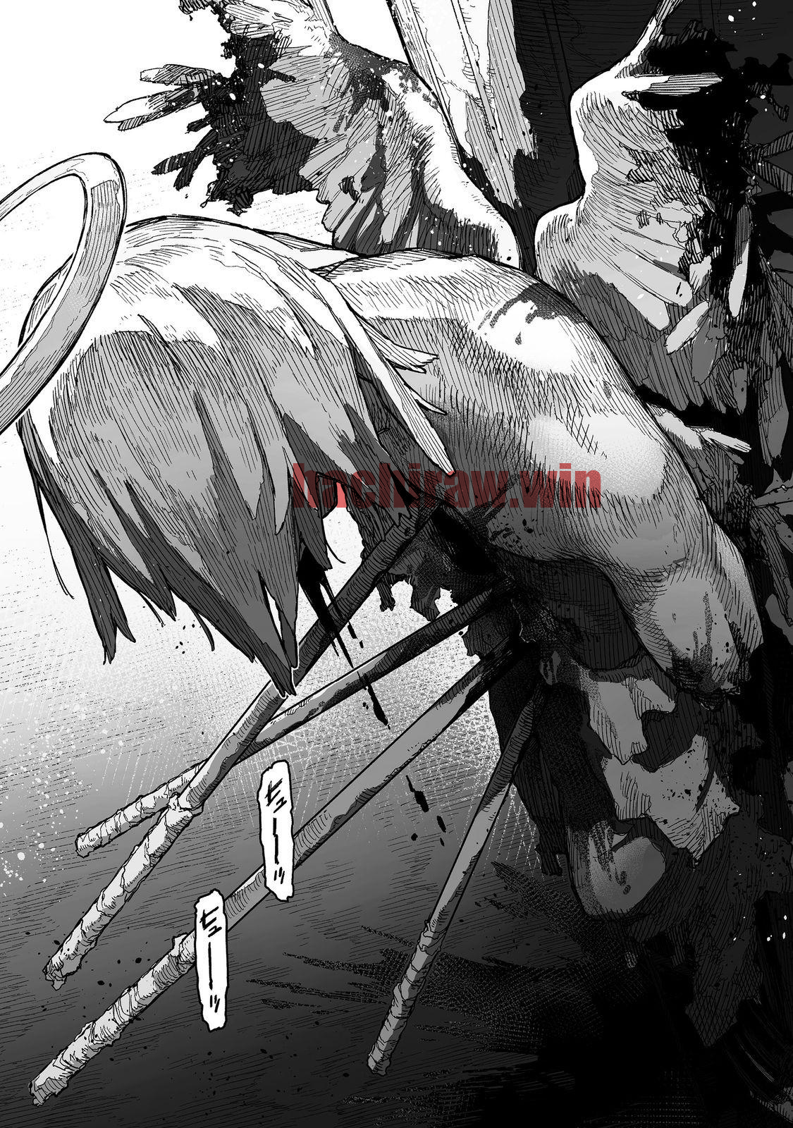 img 11
