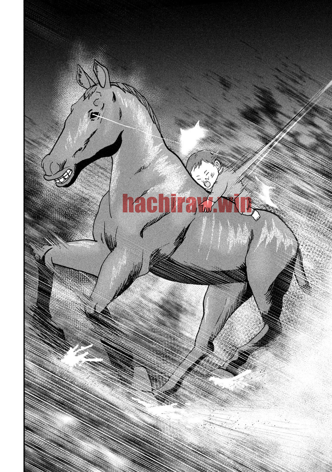 img 13