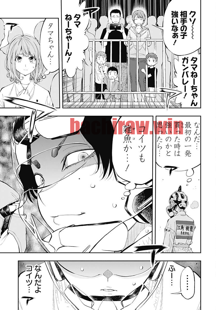 img 12