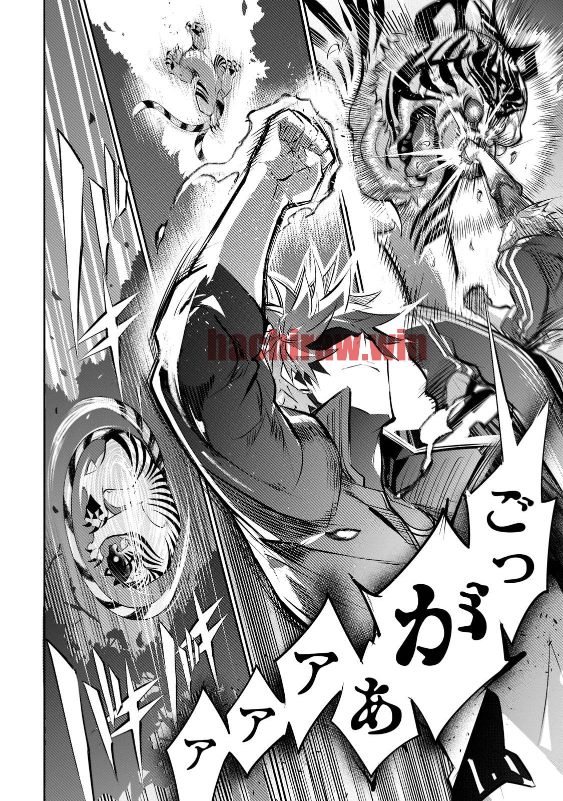 img 17