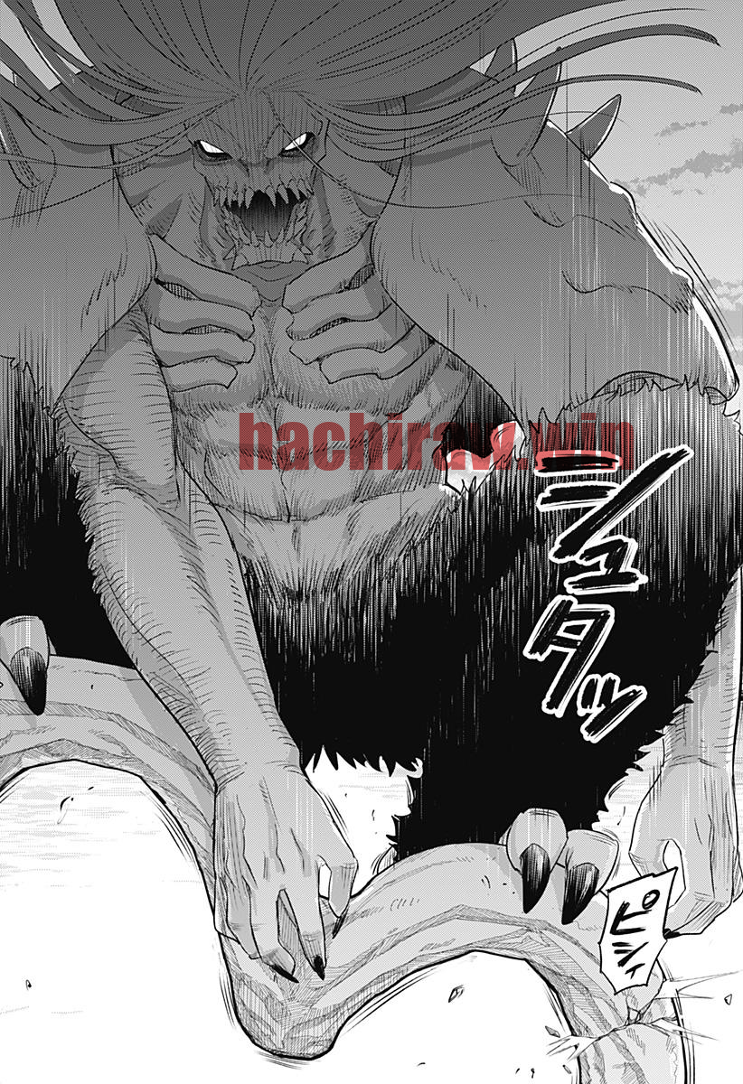 img 19