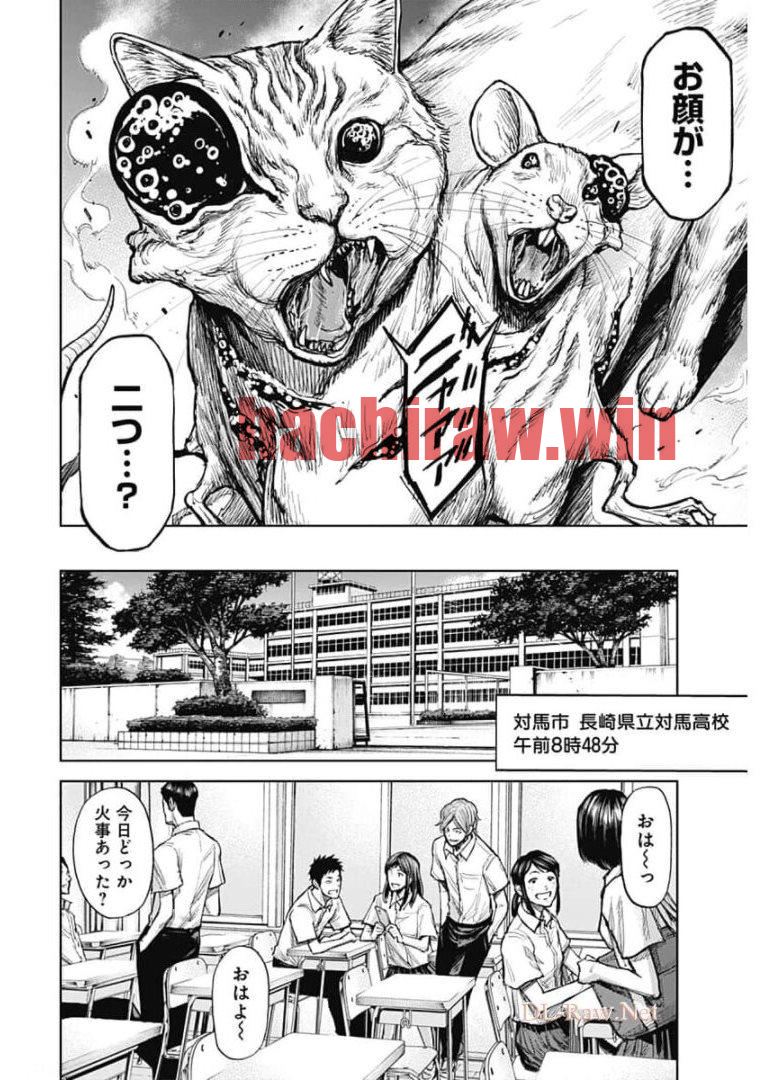img 23