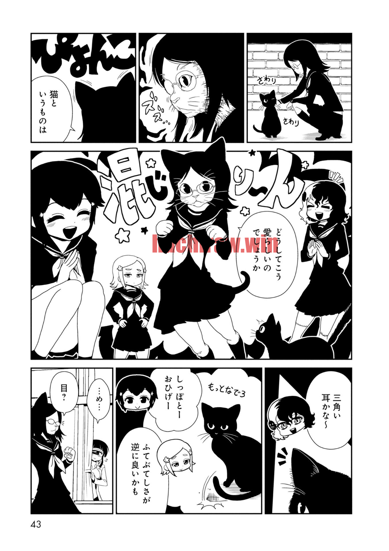 img 2