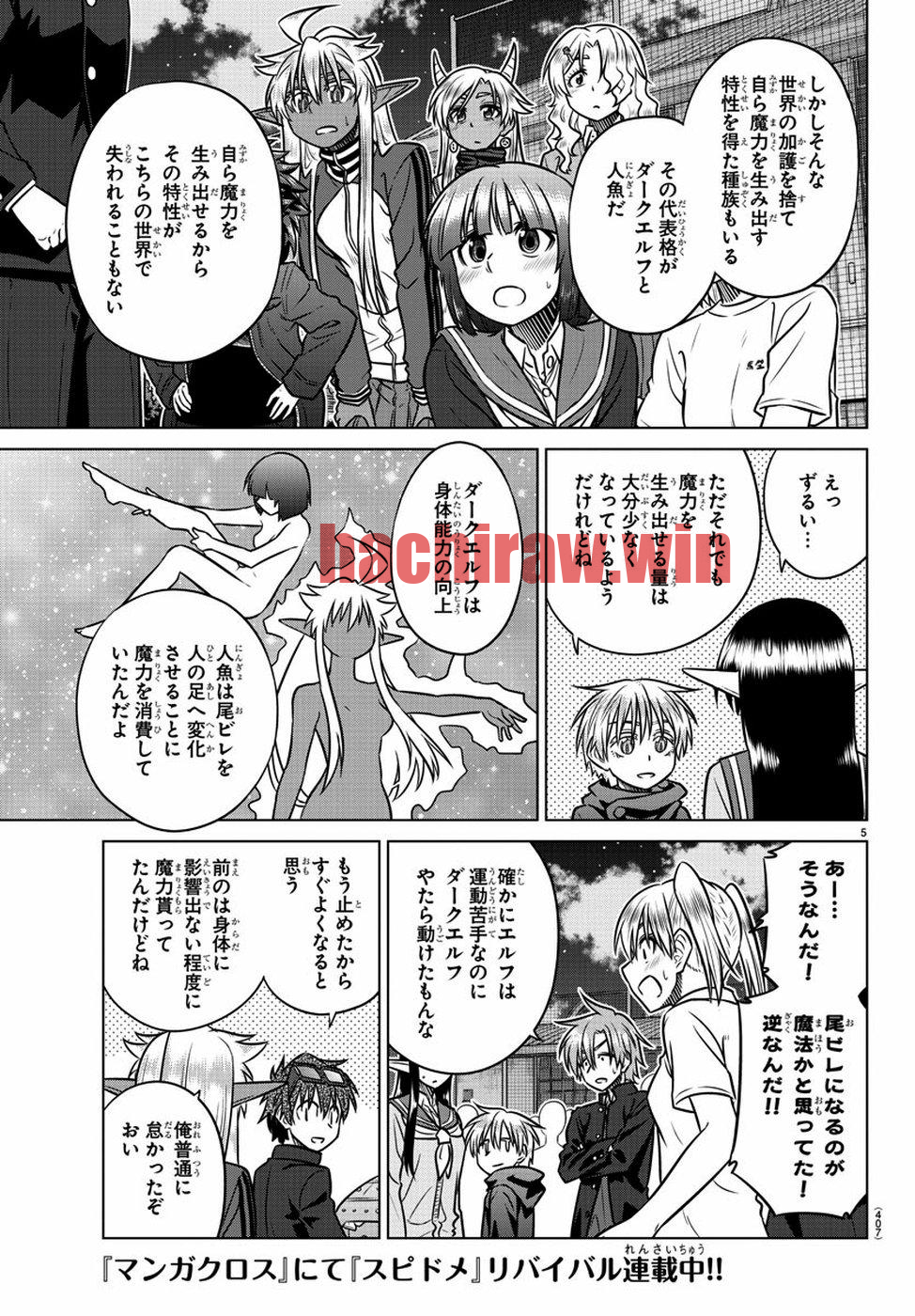 img 4