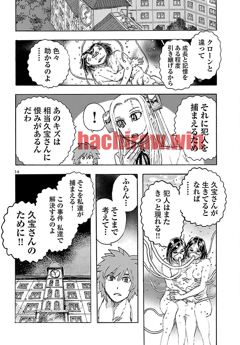 img 14