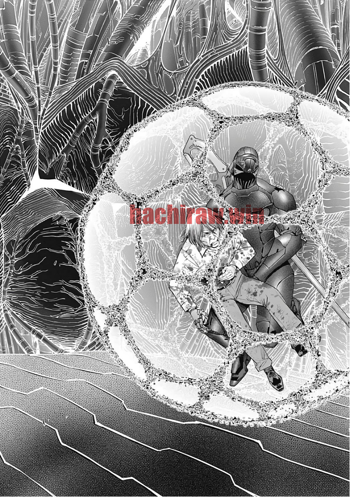 img 20