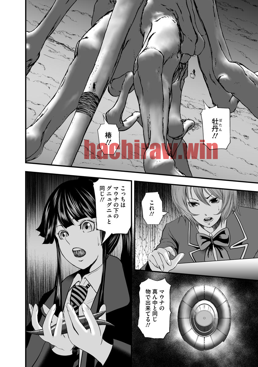 img 13