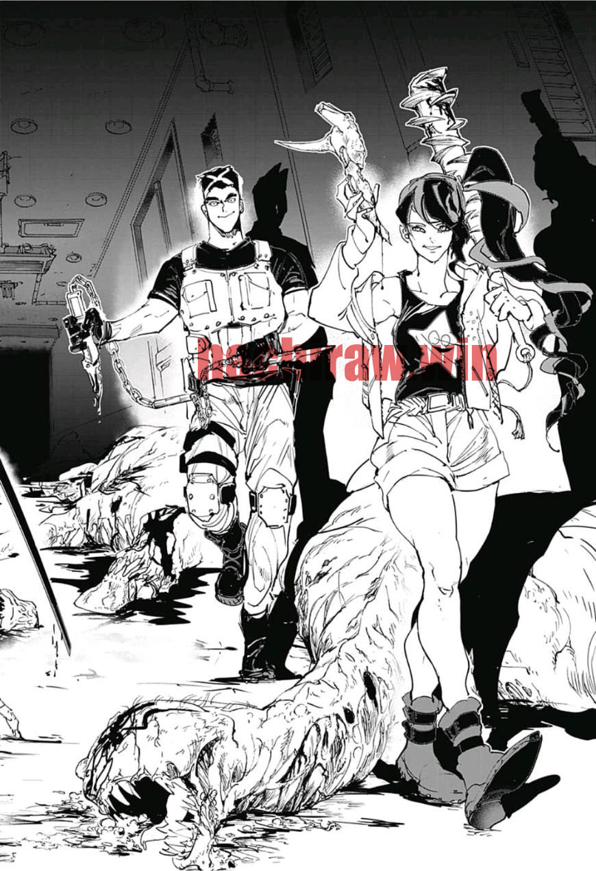 img 4