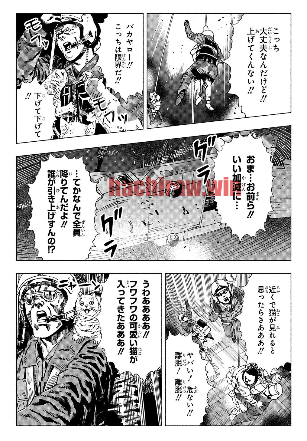 img 12