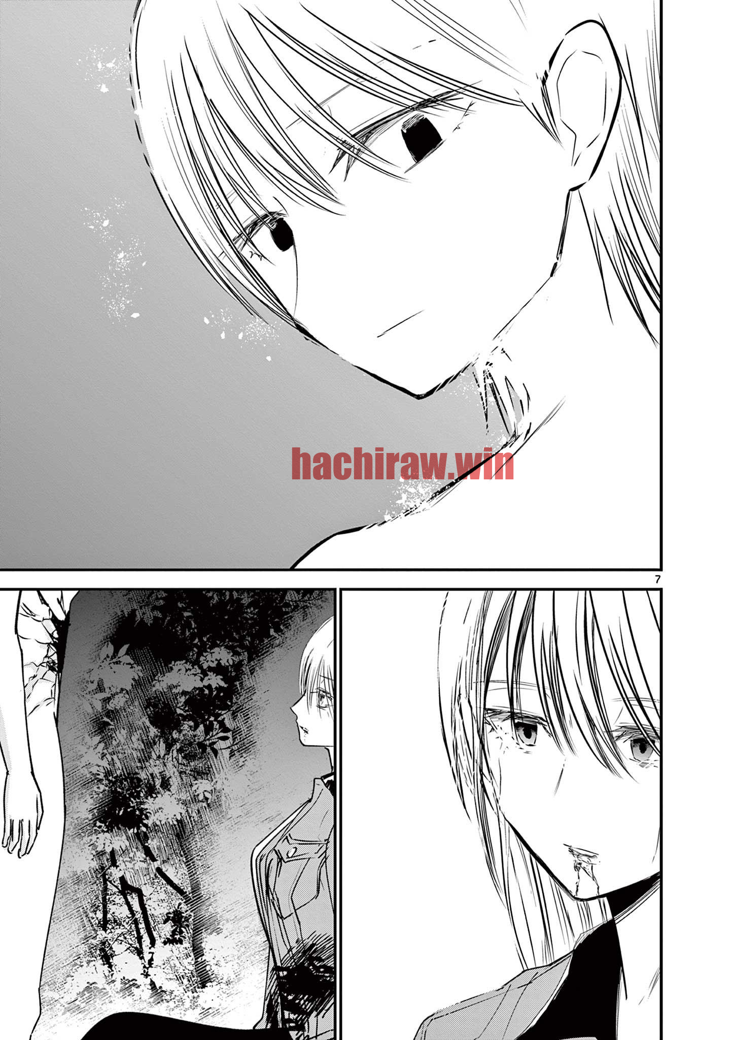 img 6