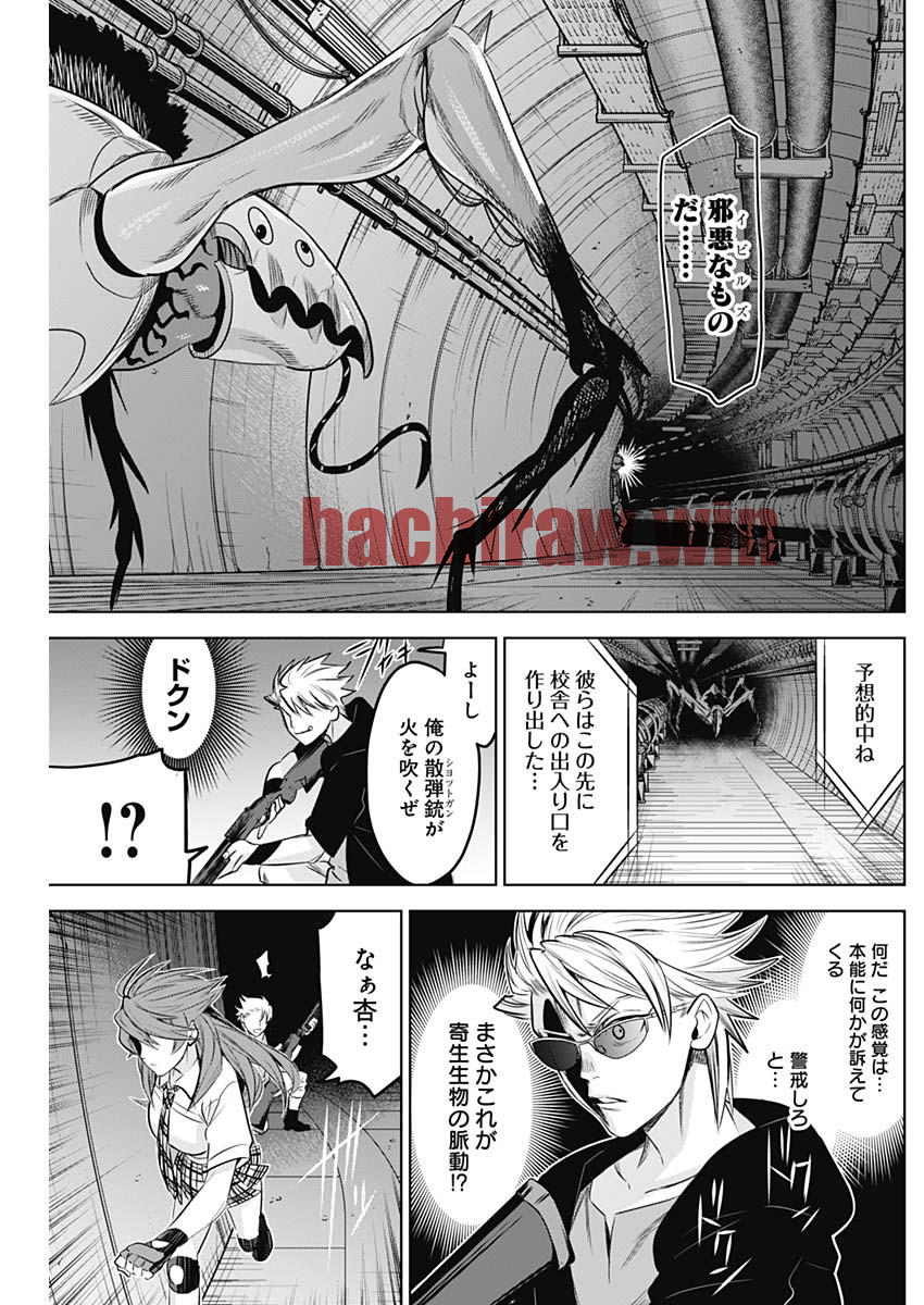 img 8