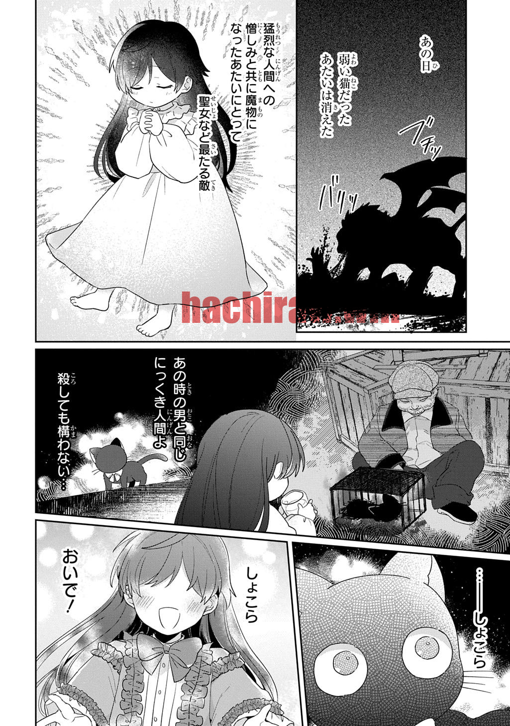 img 18