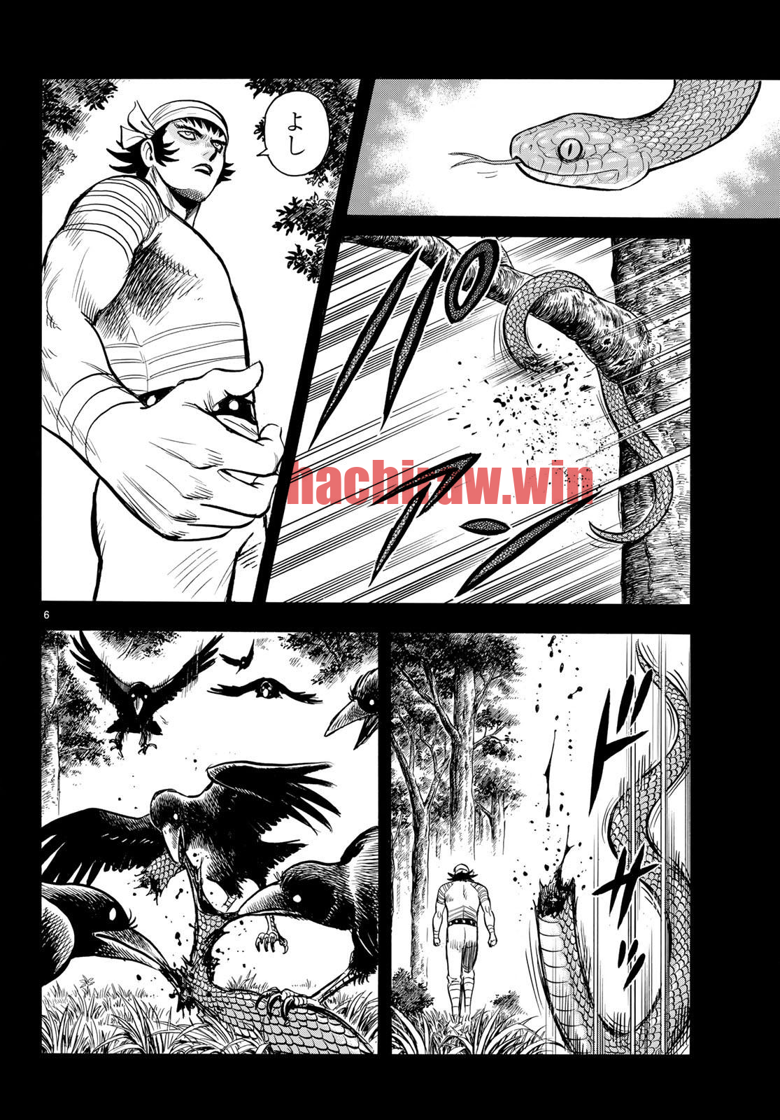 img 5