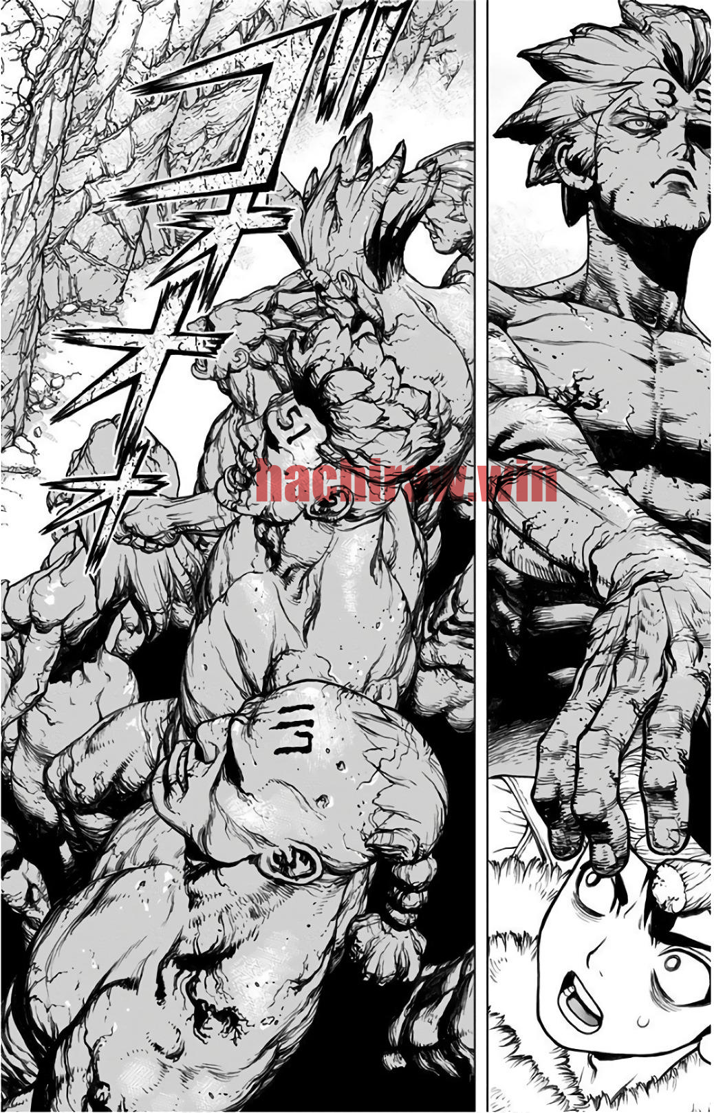 img 1