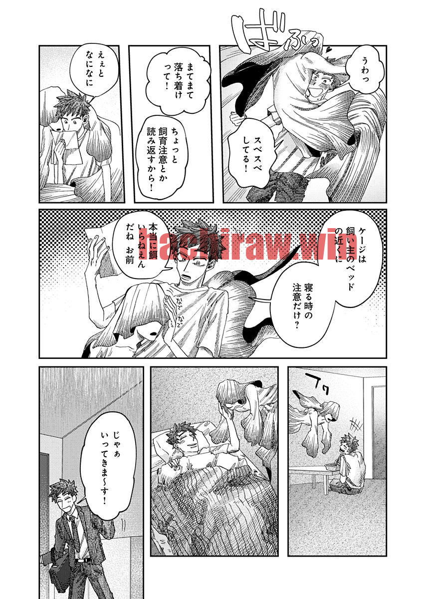 img 20