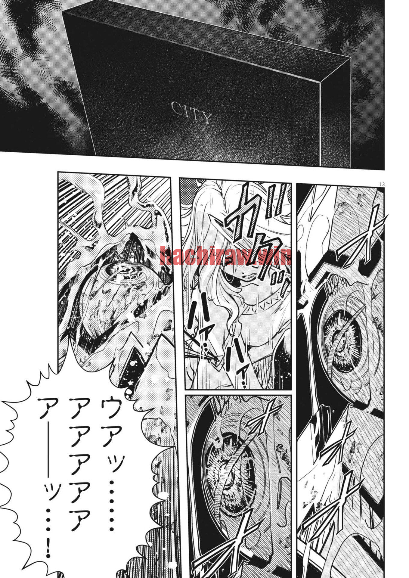 img 13