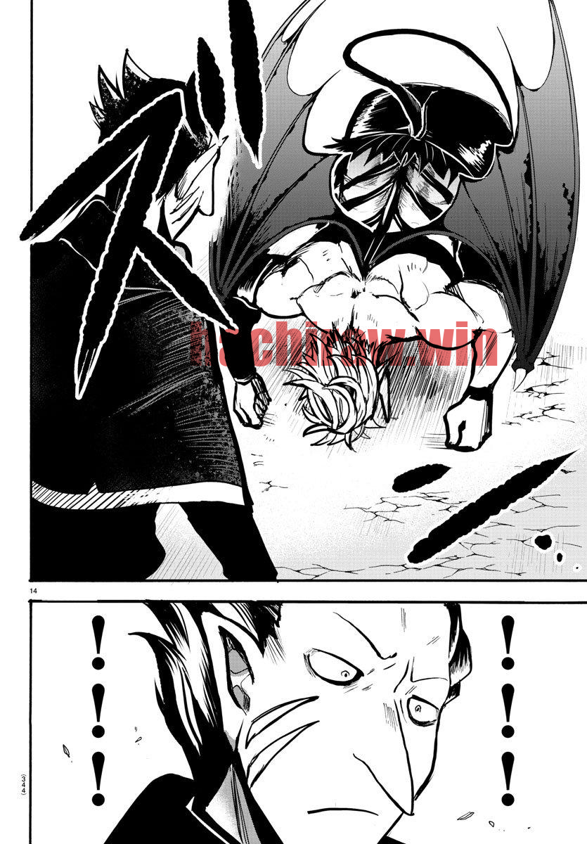 img 13