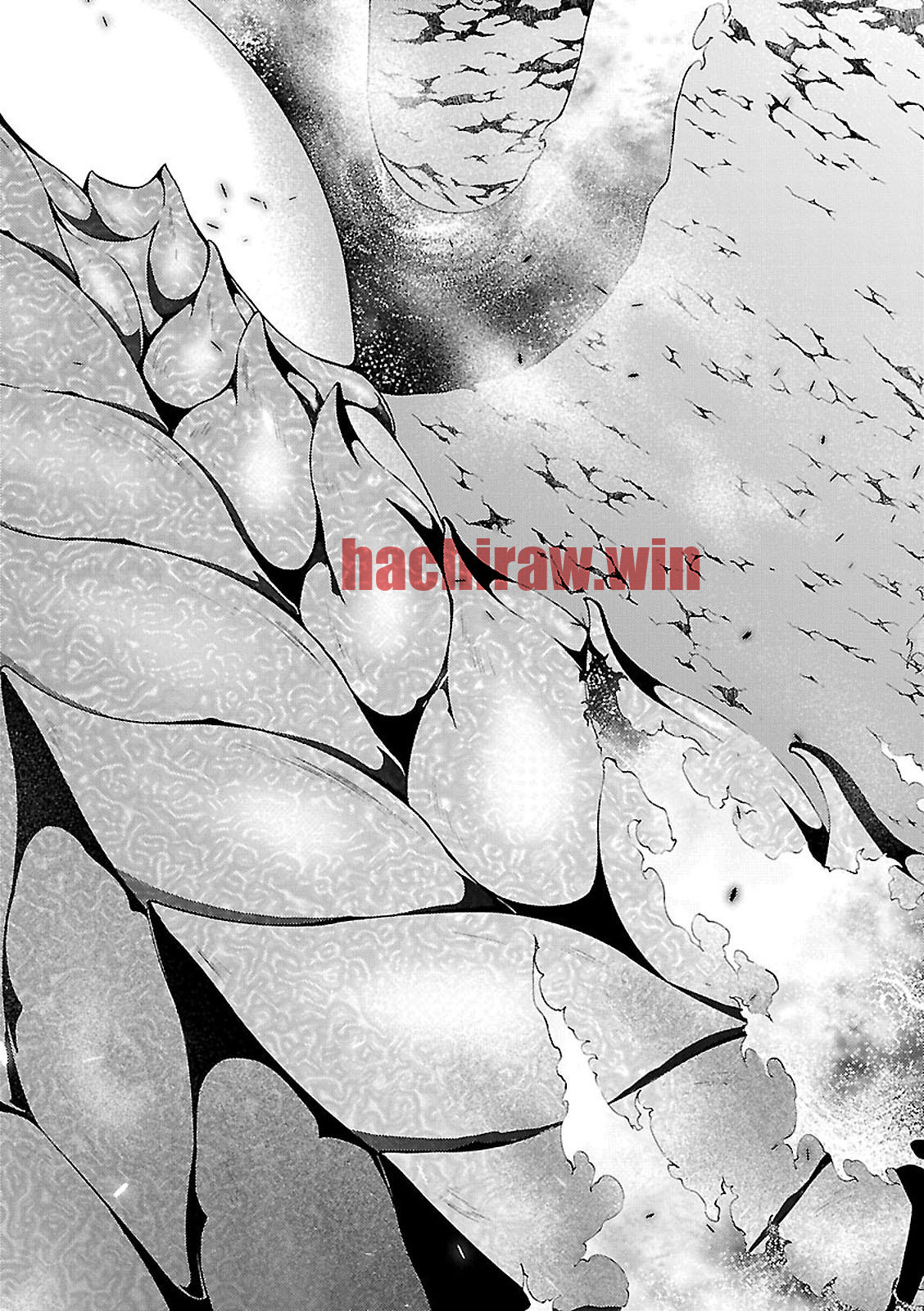 img 2