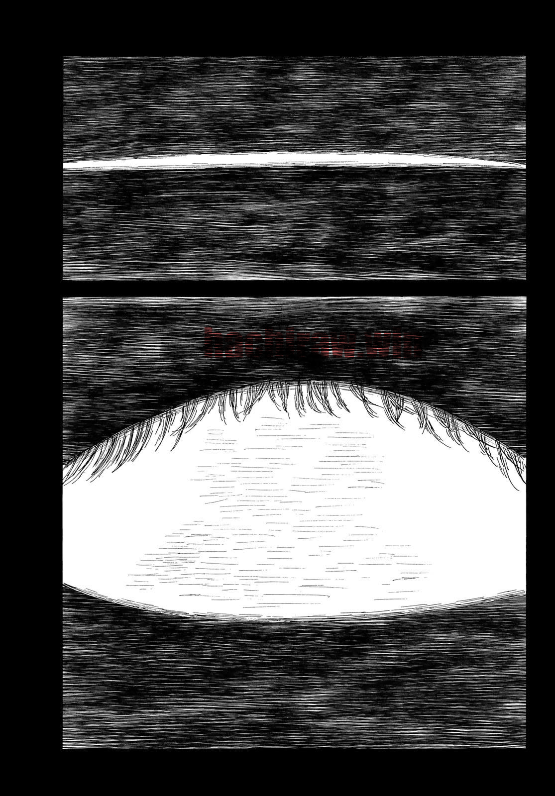 img 26
