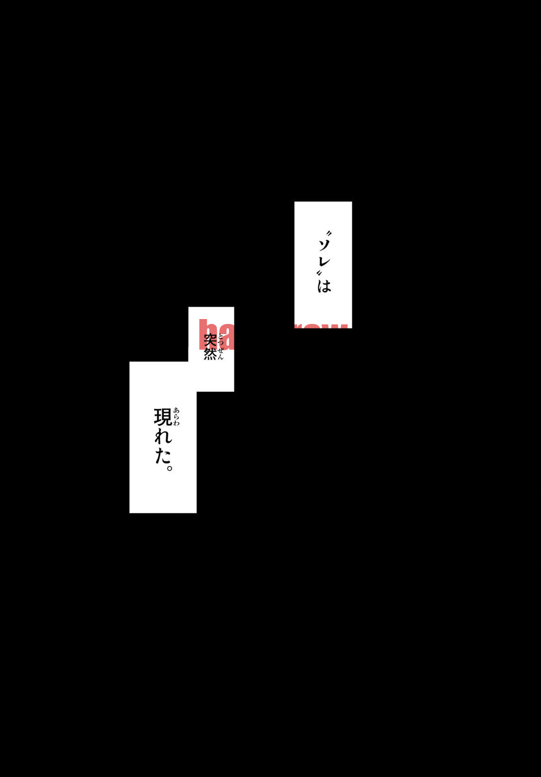 img 16