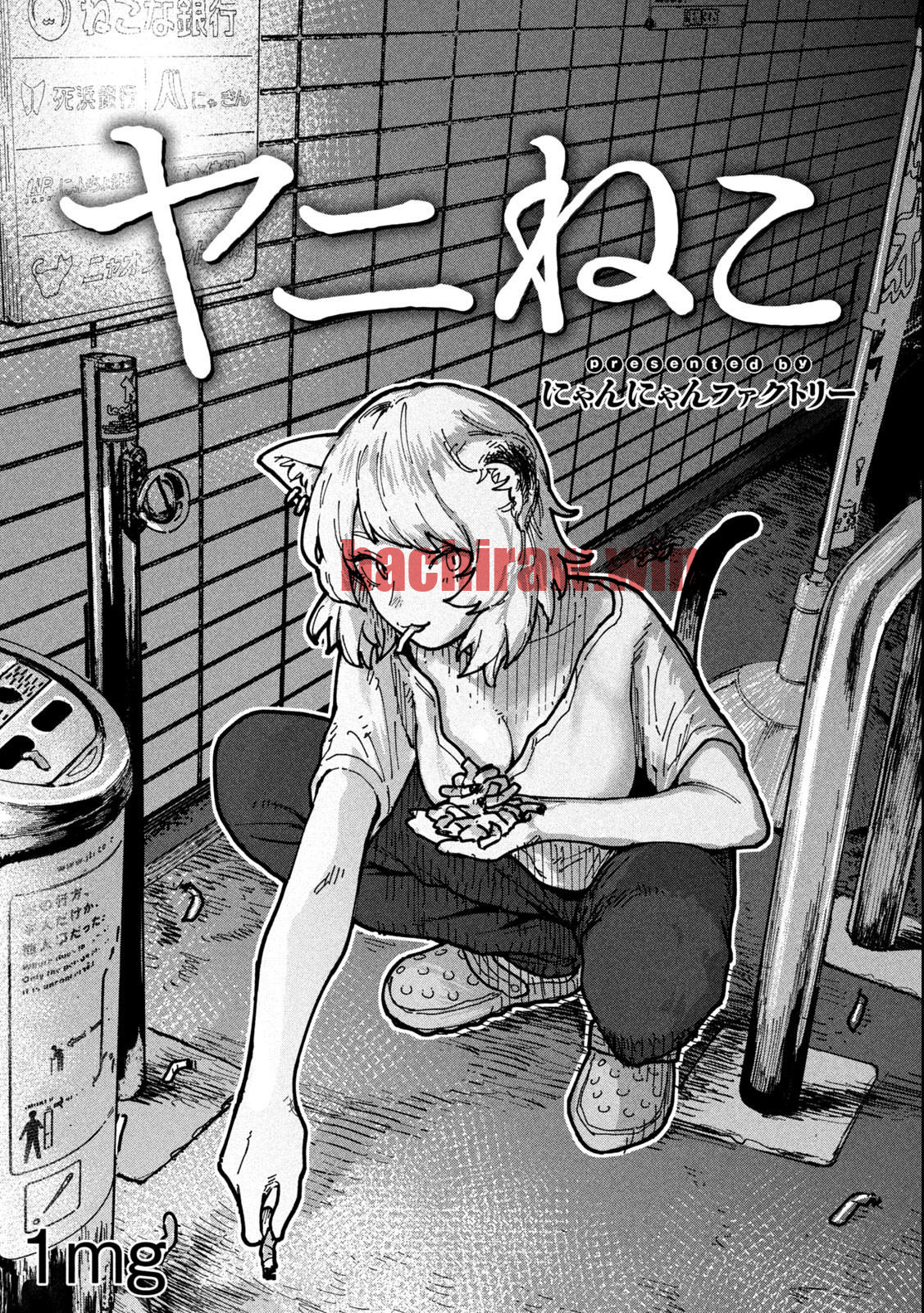 img 0