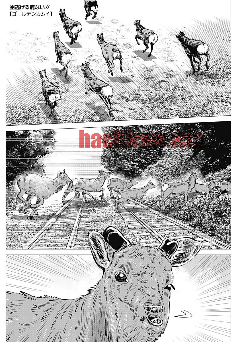 img 0