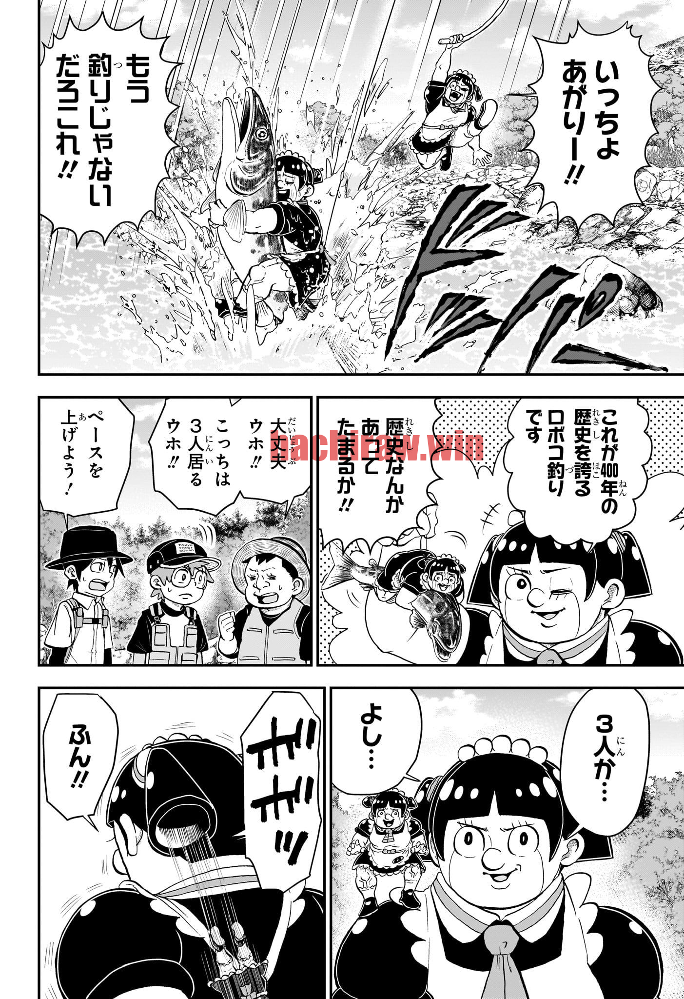 img 12