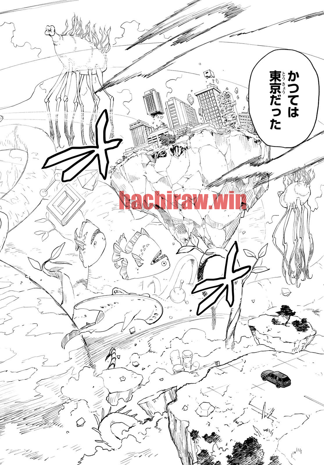 img 13