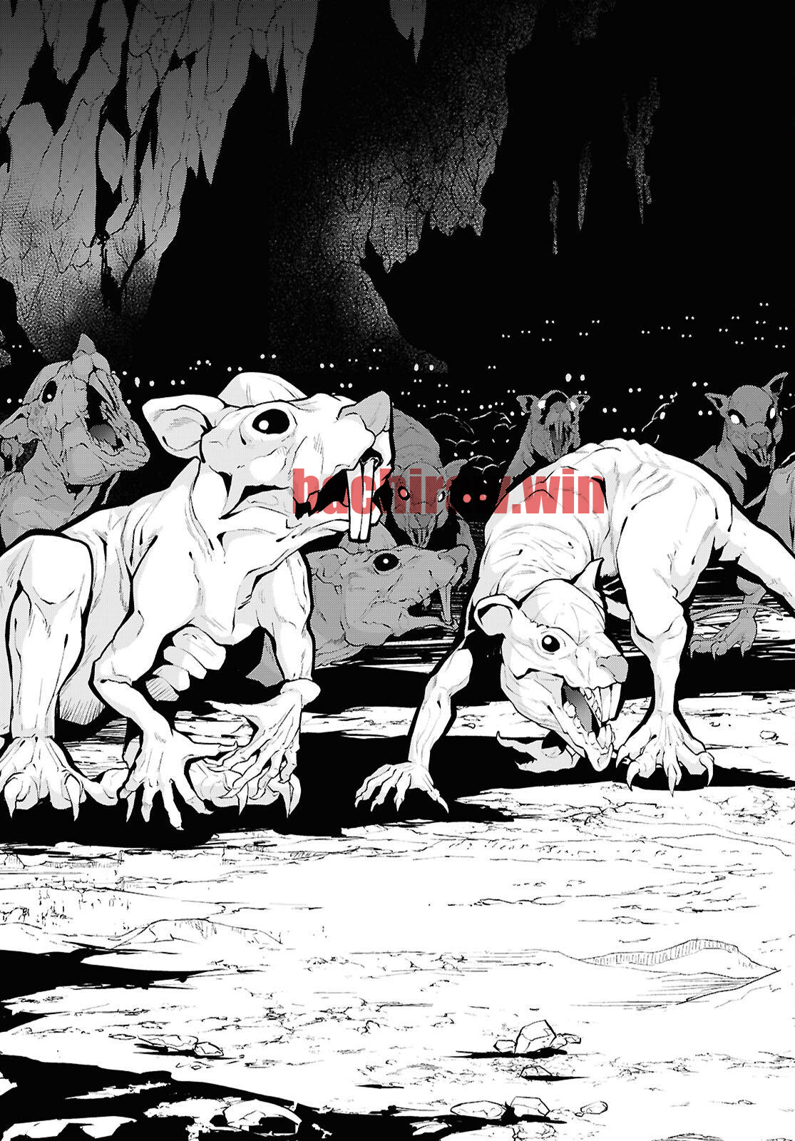 img 26