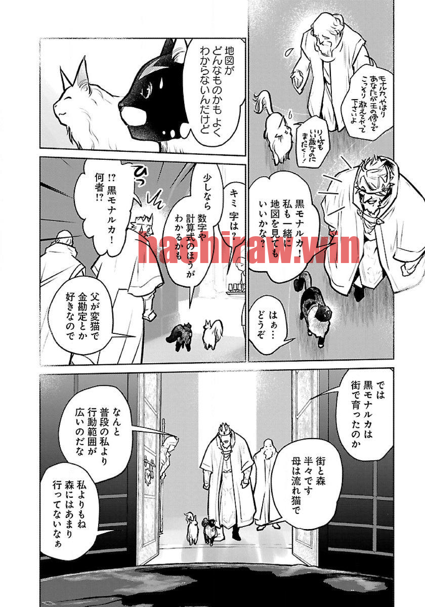 img 21