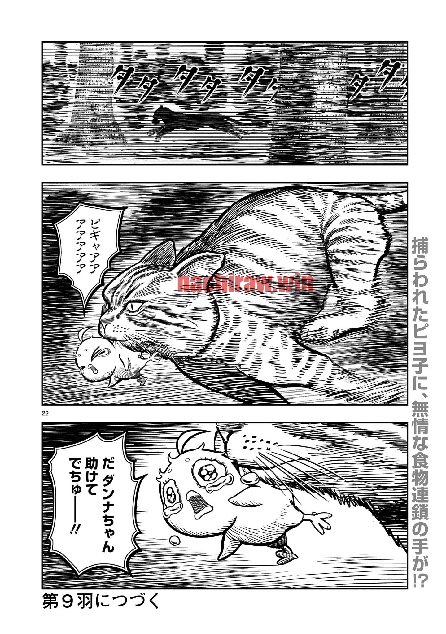 img 21