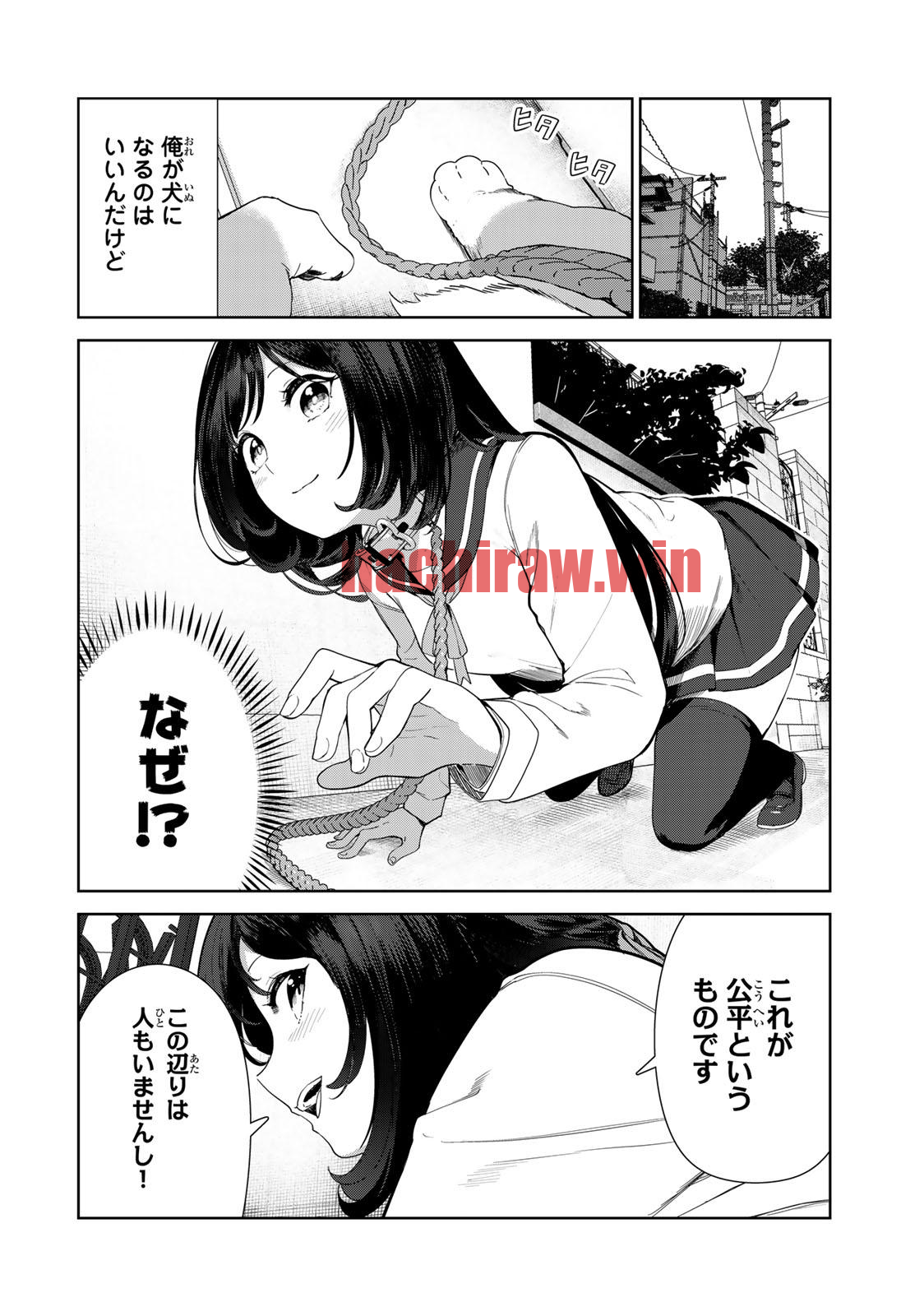 img 3
