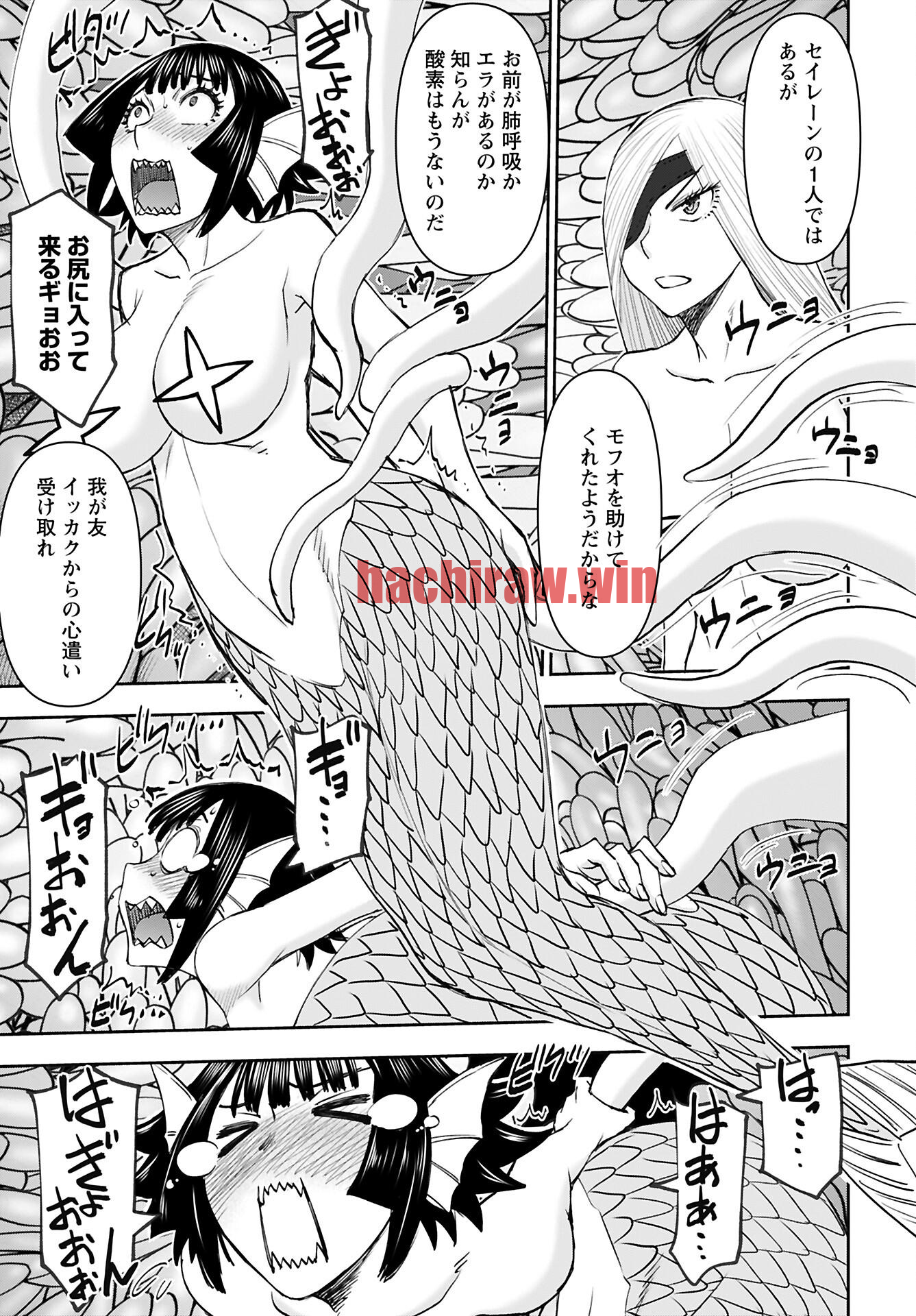 img 11