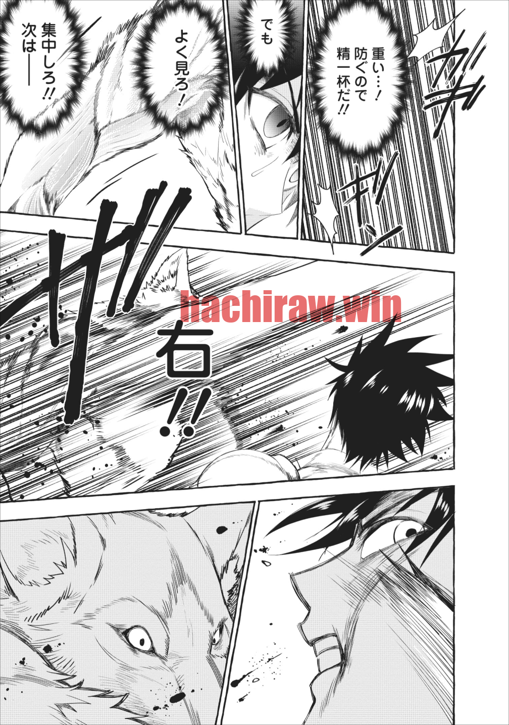 img 14