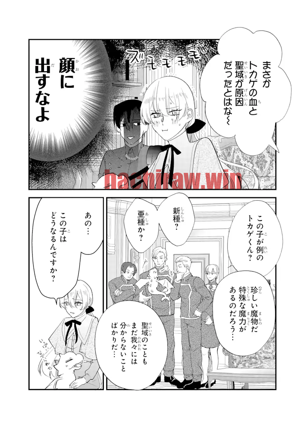 img 2